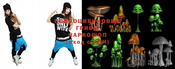 хмурый Елизово