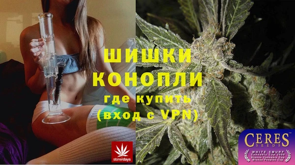 дмт Заводоуковск