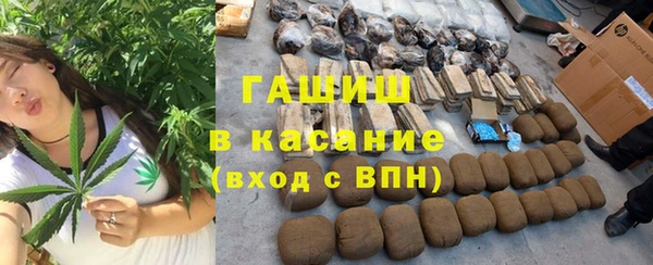 мдпв Ельня
