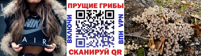 Псилоцибиновые грибы MAGIC MUSHROOMS  Мостовской 